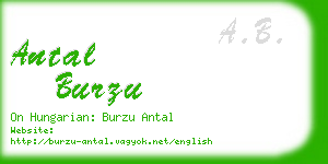 antal burzu business card